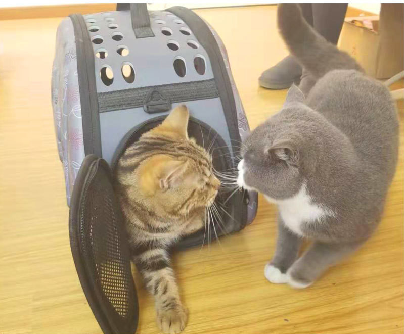 Outdoor Portable Pet Breathable Bag