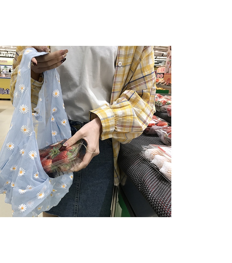 Small Transparent Tote Mesh Cloth Bag