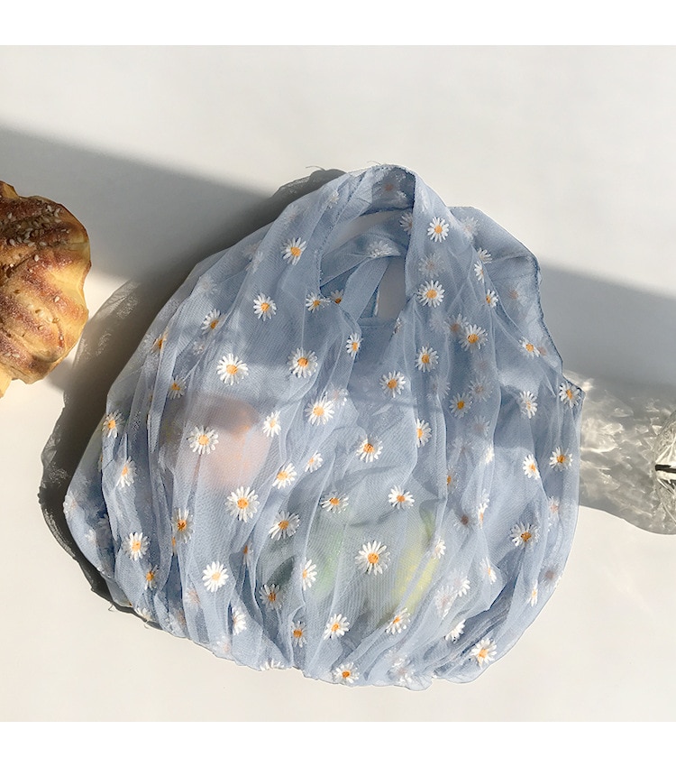 Small Transparent Tote Mesh Cloth Bag