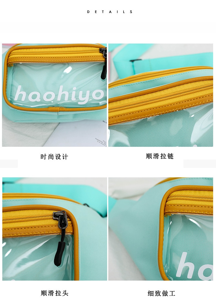 Transparent Canvas Bag