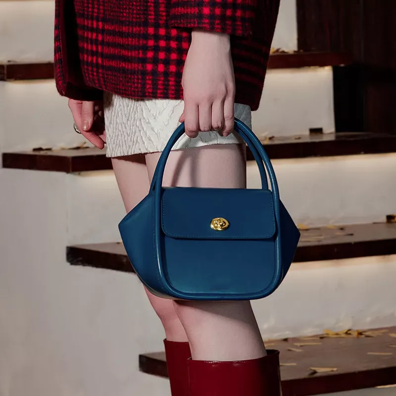 Women Handbag Bento Bag